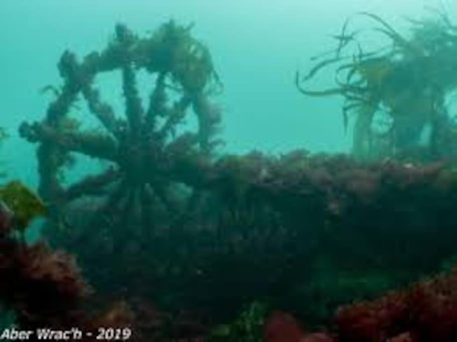 Gite Entre Mer Et Abers Landéda エクステリア 写真