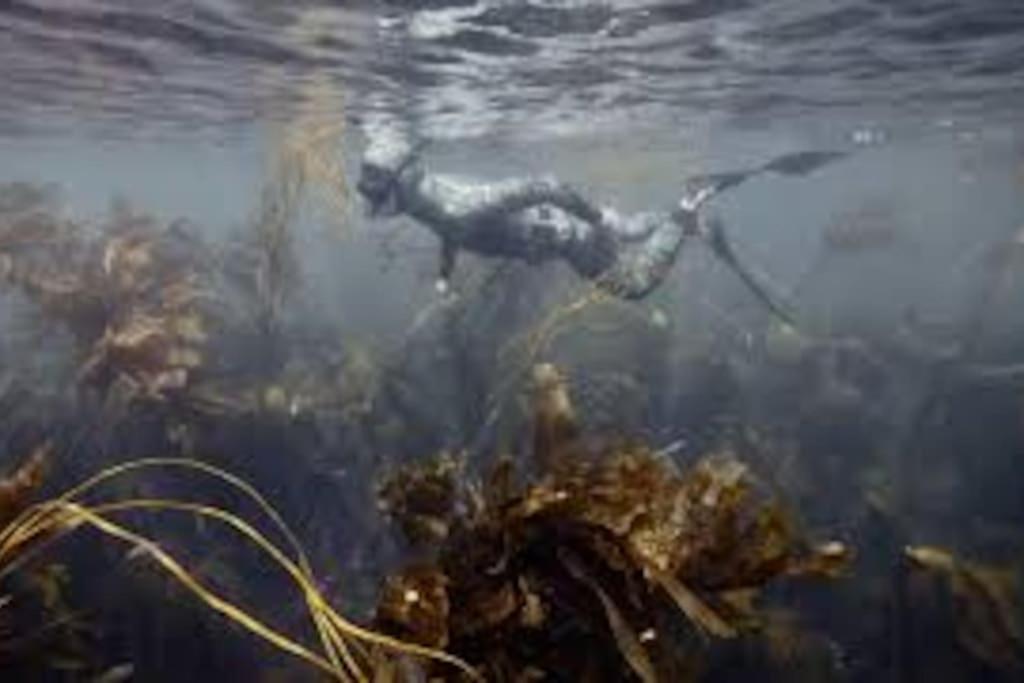 Gite Entre Mer Et Abers Landéda エクステリア 写真