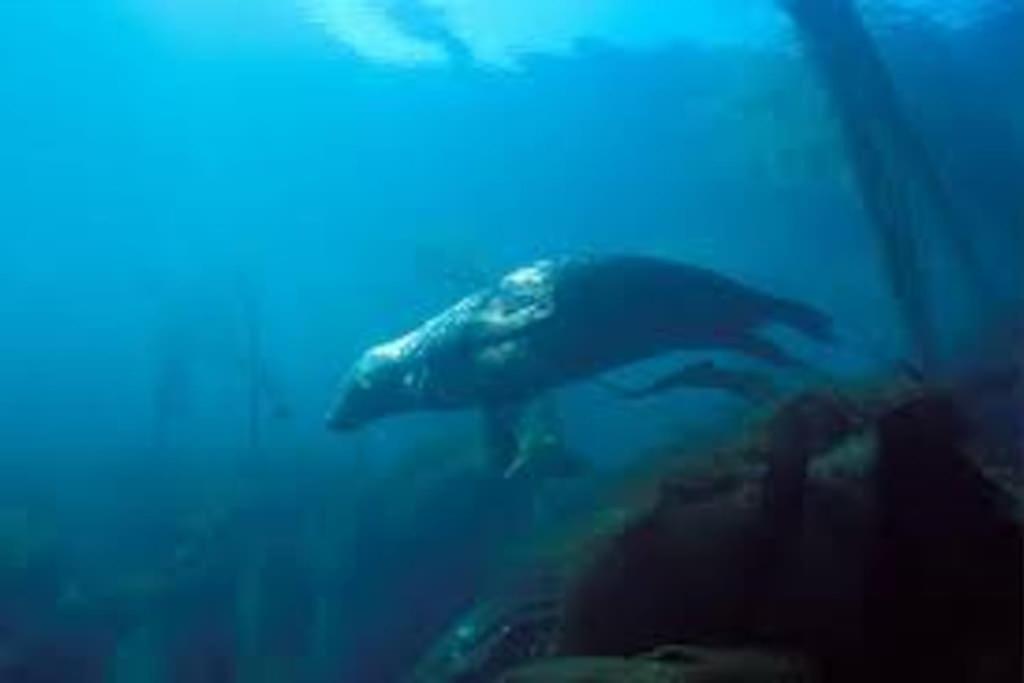 Gite Entre Mer Et Abers Landéda エクステリア 写真